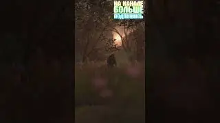 Опишите СТАЛКЕР Одной Фразой. STALKER 