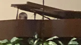 Lil’ Bro is very Pro at Piano Recital