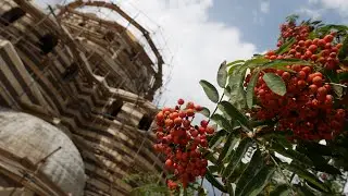 Чин освящения  купола и Креста\ Полная версия