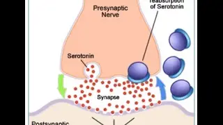 Selective Serotonin Reuptake Inhibitors