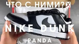 Что с ними не так? Nike Dunk Panda 🤔