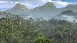 Life in the Jurassic Swamps