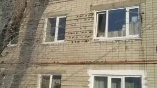 Воробьи греются  --25