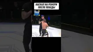 Рефери наказал бойца…  