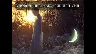 В  НОВОЛУНИЕ  ЖАБУ  ЛИШИЛИ СИЛ  