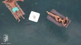 קולקציית POOL מיקס של פאלם ליף