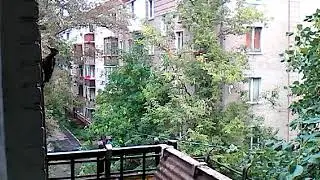 4. Дятла прикормил на балконе.