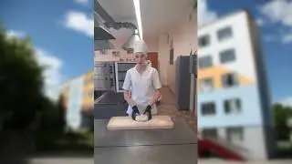 Общественное питание