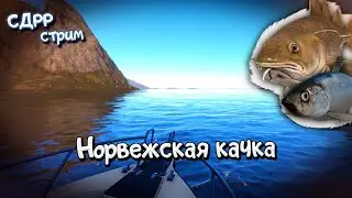 Поболтаем под норвежское море ( Русская рыбалка 4 )
