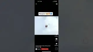 RESPECT