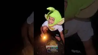 LAS LUCES ARTIFICIALES 