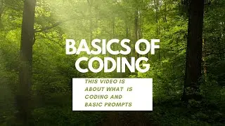The basics of coding and what is it used for, Form EVERY BASICS