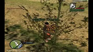 Lemon Picking - Hustle Roleplay