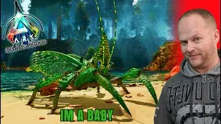 Easy Rhyniognatha 