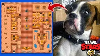 BRAWL STARS'IN EN İYİ 5 MİNİ GAME😎