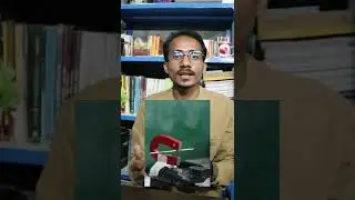 Electromagnetic Induction 🔥 | Class 10 Science Chapter 13 | Learn Practically
