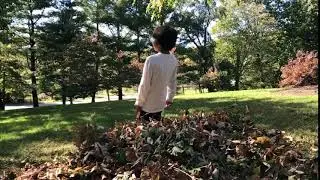 SloPro 1000 FPS + iPhone 7 Plus