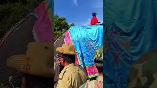Dasara Elephants entering Palace Mysuru Dasara 2024