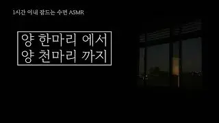 수면 ASMRㅣ 60분 안에 잠들게 만드는 양 한마리부터 천마리ㅣ숙면, 재워주는