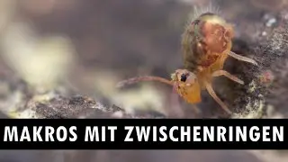 Makros mit Zwischenringen