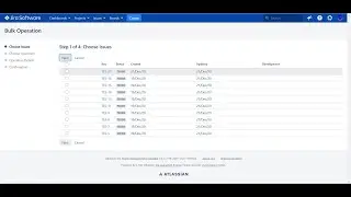 JIRA issues mass change ( BULK CHANGE)