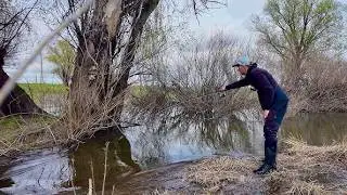 ТРЫНДЕЦ! ПРИЕХАЛ НА РЫБАЛКУ В ЗАТОПЛЕННЫЙ ЛЕС. СО СПИННИНГОМ ПО ЛУЖАМ