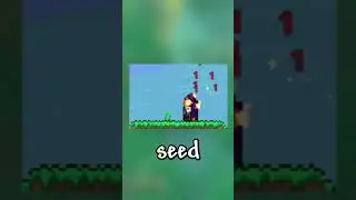 Terraria's NEW Secret Seed!!!