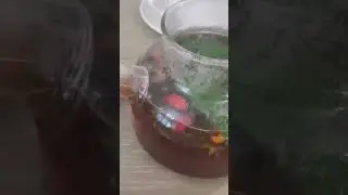 #shorts Все думают только о том - как жить... #облом #кино #моисадовыеромансы #дача #цветы  #юмор