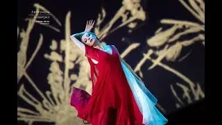 Ф. Шопен «Посвящение». Илзе Лиепа