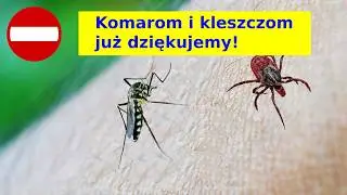 Jak odstraszać kleszcze i komary i nie dać się ukąsić - Podstawowa wiedza w pigułce!