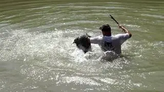 Bruno2 Boxer training ( Wolf K9 Kutyaiskola)