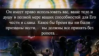 217 Достижение высот христианского совершенства