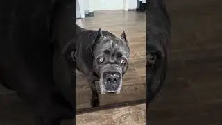 Ну какие слюни, ну о чем вы? 🤣