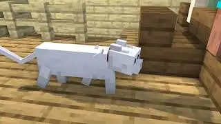 Life of a poor cat. | minecraft animation |