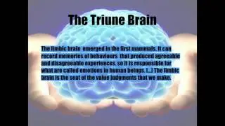 How To Break Free From The Matrix