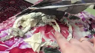 как сделать Дракона размером с собаку, своими руками.