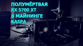 ВИДОСИК ОТ ДЯДИ ЛЁНИ | ПОЛУТРУП RX5700XT В МАЙНИНГЕ KASPA | МАЙНИНГ С МЁРТВОЙ ВИДЕОПАМЯТЬЮ!!!