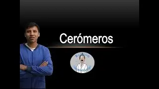 Prótesis Dental: CEROMEROS DENTALES