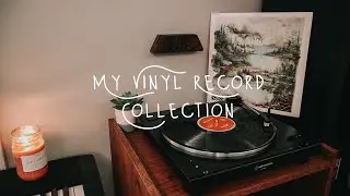 My Vinyl Record Collection | 2021