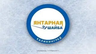 ЯНТАРНАЯ ШАЙБА 2017