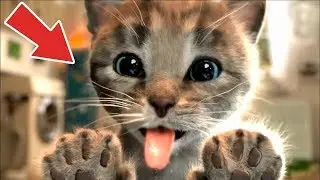 Sevimli Kedi Kostüm Partisi 