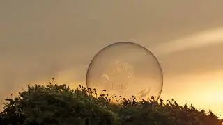 Sun Set | Soap Bubble Effects | copyright free video | VFX effect