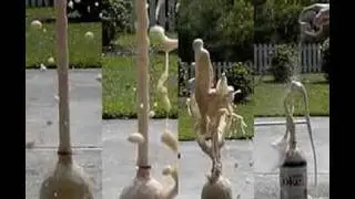 Diet Coke & Mentos in super-slow-motion (1200fps)