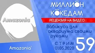 #МИЛЛИОНКОКЕДАМ-59 Рецензия: Вабикуса для аквариума своими руками