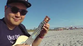 Overjoyed (Ukulele Instrumental) - Stevie Wonder