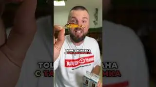 ПРЕВЪРНАХМЕ ПЪСТЪРВА ВЪВ ВОБЛЕР!!! #fishing #риболов #риболовенмагазин #twitchfishing