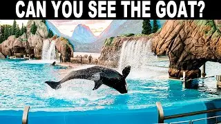 FIND THE HIDDEN ANIMALS GAME | NO ONE CAN FIND ALL THE HIDDEN ANIMALS!! | 100% FAIL | BRAIN TEST