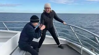 Whale Watching QLD 2024