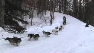 Iditarod 2011-Corral Hill---Peter Kaiser