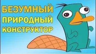 Утконос - как совместить несочетаемое